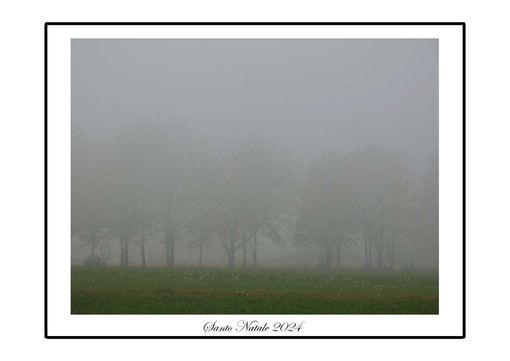 "Il mondo così com'è non mi piace più" una bella riflessione di Piergiuseppe Zanotto