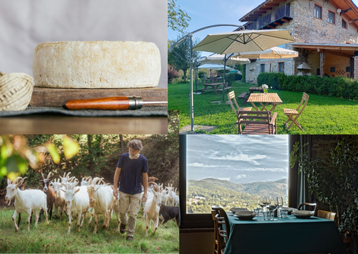 foto di Alice Krizman e Francesco Taurisano