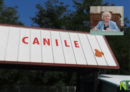 Ristrutturazione e insonorizzazione al canile consortile, Cossato anticipa i fondi, Biella approva il piano di rimborso Ristrutturazione e insonorizzazione al canile consortile, Cossato anticipa i fondi, Biella approva il piano di rimborso