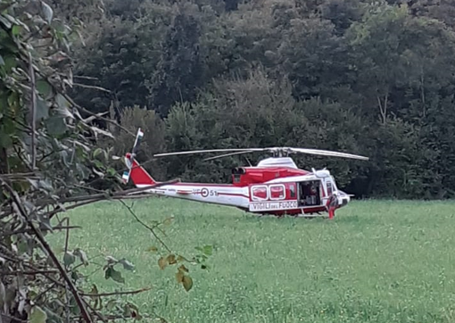 asino valle cervo asino valle cervo