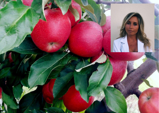 Dal Meleto di Gifflenga, l'idea per un ottimo snack: le chips di mela