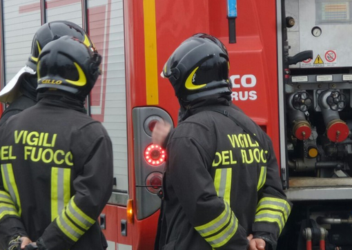 cartoni carta cartoni carta