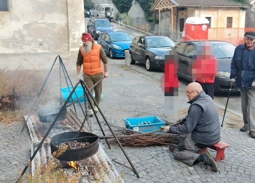 campiglia scuole campiglia scuole