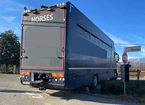 Salussola: Camion trasporto cavalli incastrato in rotonda, il traffico viene deviato, attenzione