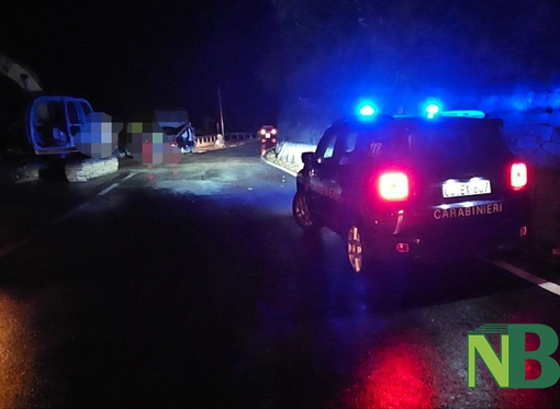 escavatore campiglia