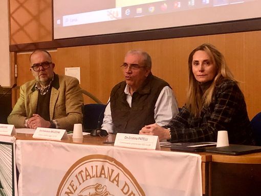 caccia legge caccia legge