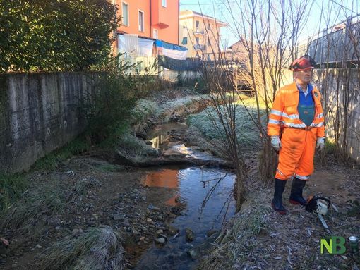 Foto Catia Ciccarelli