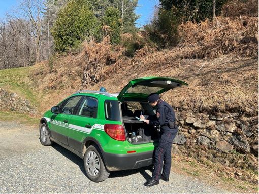 carabinieri forestale carabinieri forestale