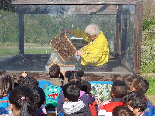 Oasi delle Api a "Nuraghe Chervu": educazione ambientale e turismo sostenibile tra Biellese e Sardegna