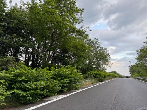 foto Ramella Pralungo