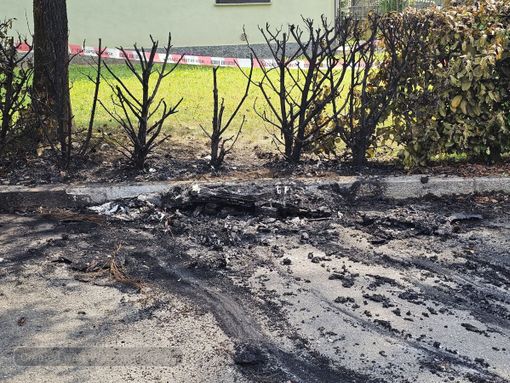 foto Angela Lobefaro per newsbiella.it