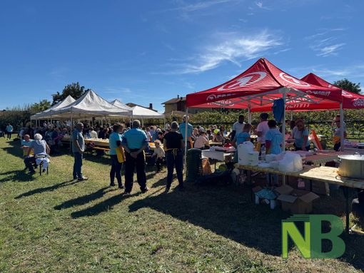 A Candelo è giornata di vendemmia tra sorridi e solidarietà FOTO Davide Finatti