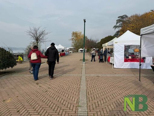 Tra le bancarelle al mercatino degli hobbisti a Viverone FOTO e VIDEO foto Davide Finatti per newsbiella.it