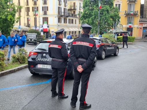 adunata biella adunata biella