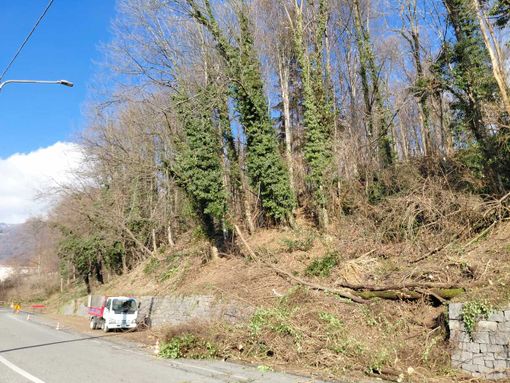 Sagliano Micca, al via lavori sul versante della SP100. Blotto: “Opera fondamentale e attesa da anni” (foto dalla pagina Facebook di SiAmo Sagliano)