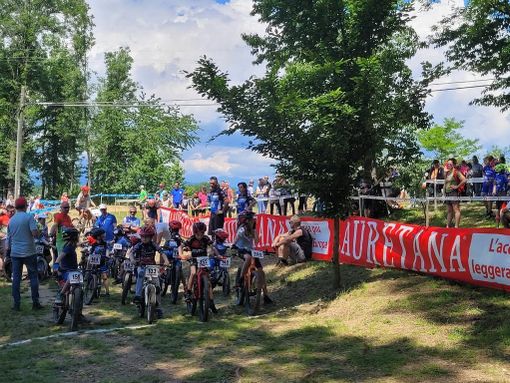 Castelletto Cervo, torna il Trofeo “Colori e Sapori” dedicato ai giovani ciclisti Castelletto Cervo, torna il Trofeo “Colori e Sapori” dedicato ai giovani ciclisti
