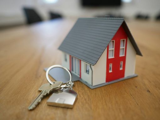 Informazioni ufficiali a portata di click: perché oggi la semplicità digitale fa la differenza