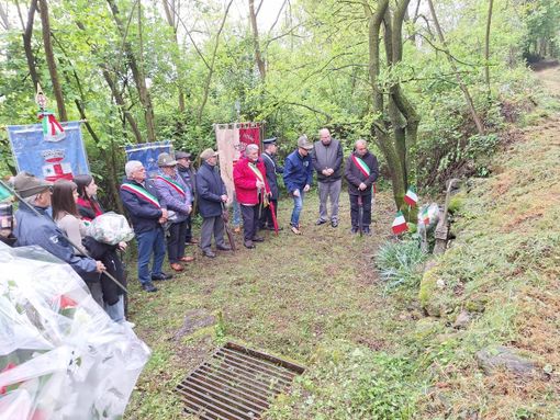 liberazione zimone liberazione zimone