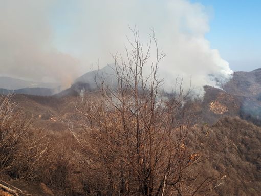 Giorni di Fuoco in Piemonte, si lotta contro gli incendi boschivi Giorni di Fuoco in Piemonte, si lotta contro gli incendi boschivi