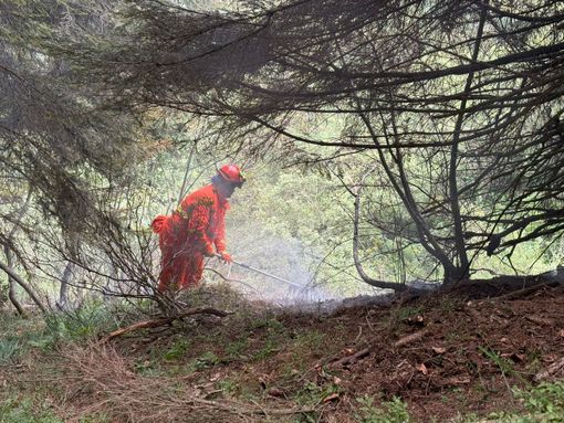 Oasi Zegna: Incendio boschivo nei pressi del Bocchetto Sessera