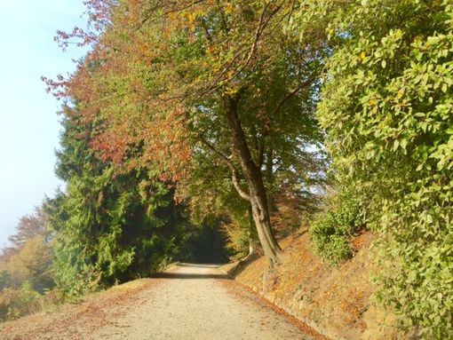 Foto della Burcina Foto della Burcina