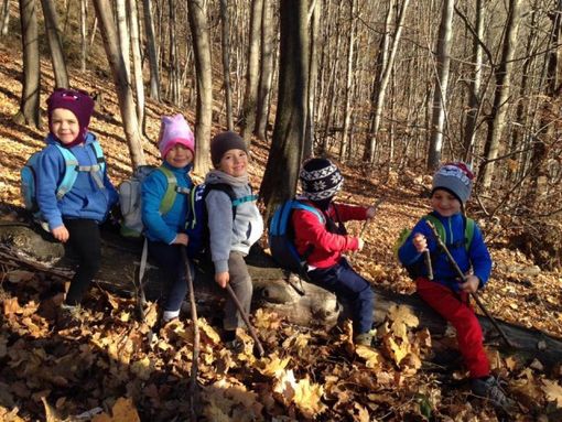 Veglio: Una giornata di festa per sostenere il progetto "Il bosco dei piccoli" Veglio: Una giornata di festa per sostenere il progetto "Il bosco dei piccoli"