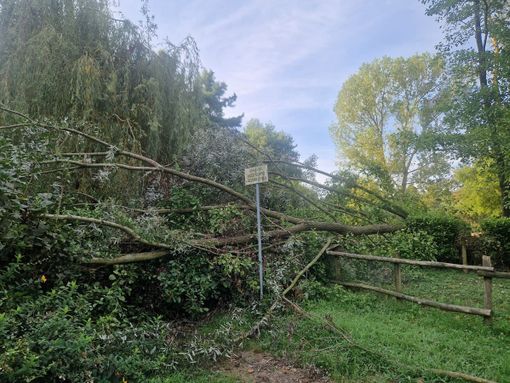 Chiavazza: Parco delle oche dimenticato nel più completo abbandono FOTO Chiavazza: Parco delle oche dimenticato nel più completo abbandono FOTO