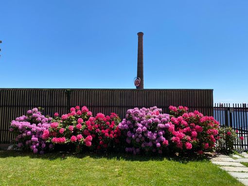 Pronti a ripartire per i prossimi 110 anni. Riapre Casa Zegna con l'evento "Bentornata Italia" Pronti a ripartire per i prossimi 110 anni. Riapre Casa Zegna con l'evento "Bentornata Italia"