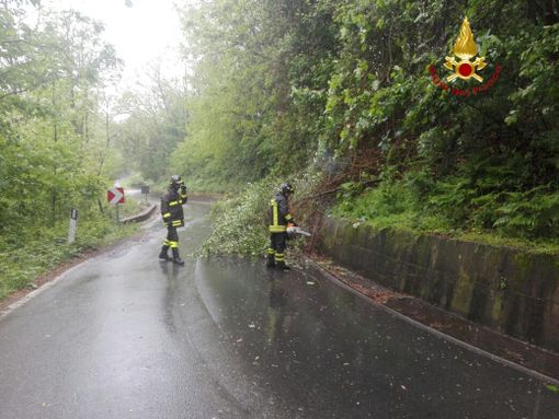 Foto Comando Provinciale Vigili del Fuoco