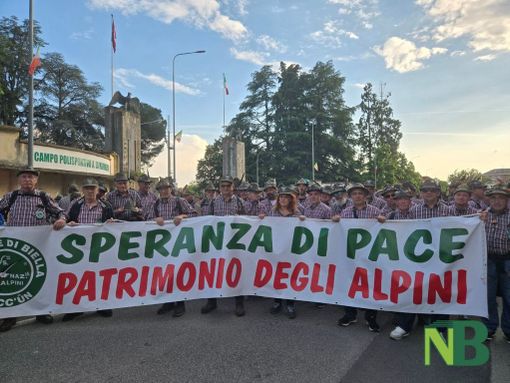 adunata biella adunata biella