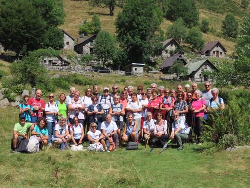 auser cossato auser cossato