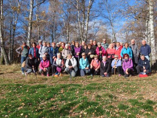 auser cossato auser cossato