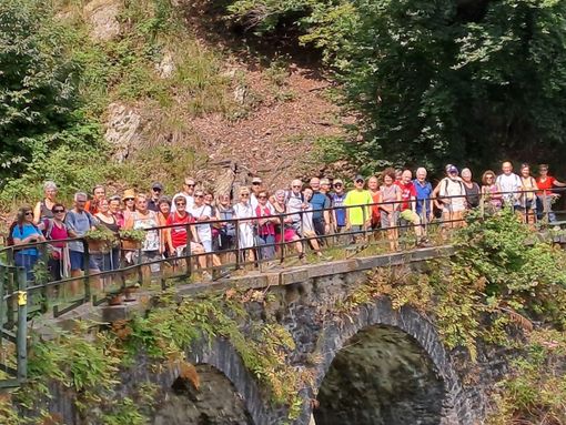 auser cossato auser cossato