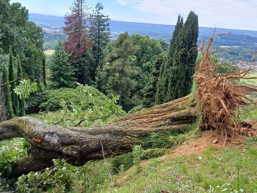 Burcina, revocata l'ordinanza di chiusura, foto ente parco Ticino