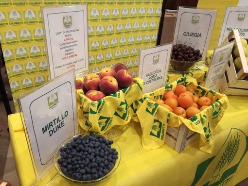 Confagricoltura Piemonte