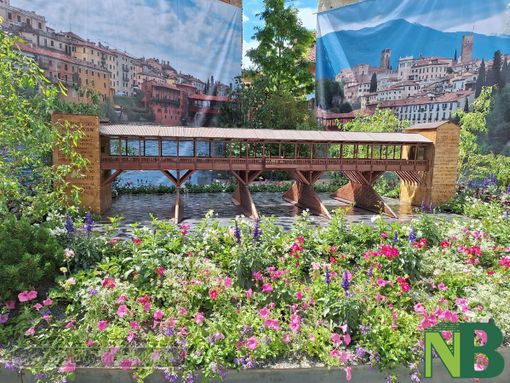 Candelo in Fiore: Immergerti nella bellezza della natura e portare a casa un ricordo speciale - Foto Nicola Rasolo per newsbiella.it