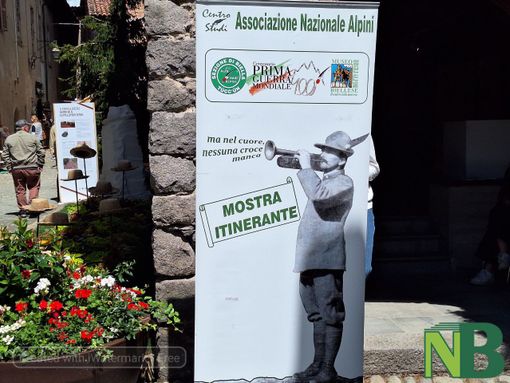 Candelo in Fiore, il faro del turismo biellese Candelo in Fiore, il faro del turismo biellese