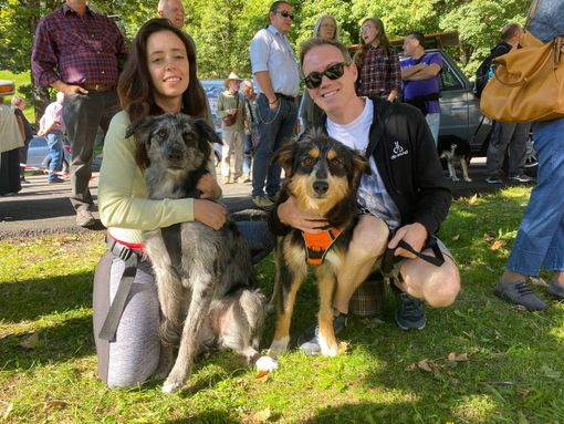 raduno cani raduno cani