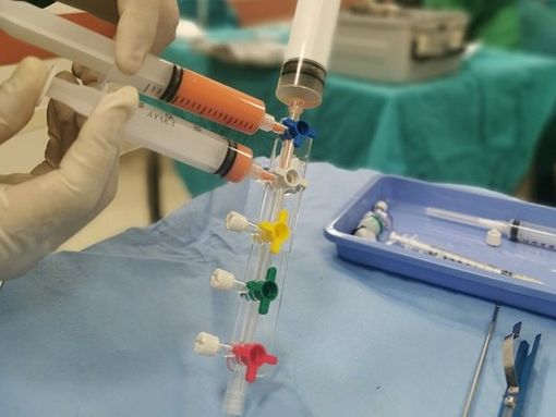 Riparare il nostro corpo con le cellule staminali, una conferenza online all'Iti Riparare il nostro corpo con le cellule staminali, una conferenza online all'Iti