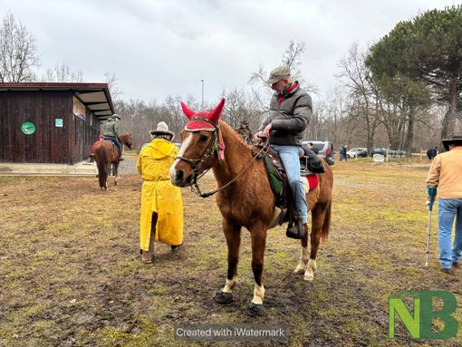 Festeggiamenti di Sant’Antonio Abate a Castelletto Cervo in compagnia degli amici a quattro zampe (foto di Maria Camilla Toffetti) Festeggiamenti di Sant’Antonio Abate a Castelletto Cervo in compagnia degli amici a quattro zampe (foto di Maria Camilla Toffetti)