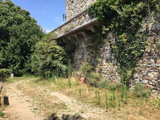 Ronco e Zumaglia, lavori delle squadre forestali al Brich