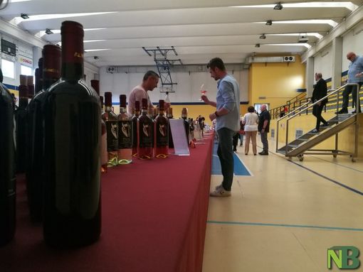 Foto Mauro Benedetti