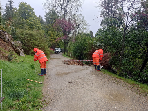 maltempo parco burcina