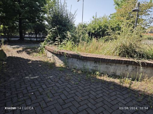 Biella, Piazza Lombardia, i cittadini: "Sembra un angolo dimenticato", FOTO