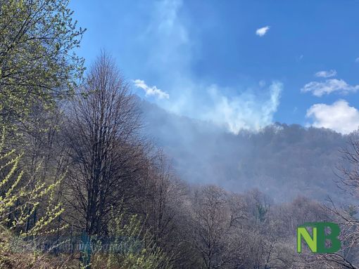 Valle Cervo, imponente incendio boschivo sopra Riabella