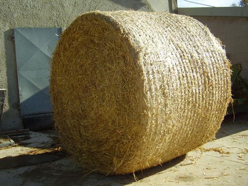 Salussola, rubata una rotoballa di fieno