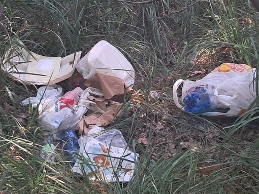 Zubiena, i cittadini ripuliscono i luoghi dello spaccio