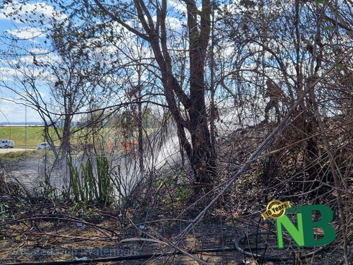 Ancora sterpaglie a fuoco nei pressi dell'ospedale di Biella, al lavoro Vigili del Fuoco e AIB Ancora sterpaglie a fuoco nei pressi dell'ospedale di Biella, al lavoro Vigili del Fuoco e AIB
