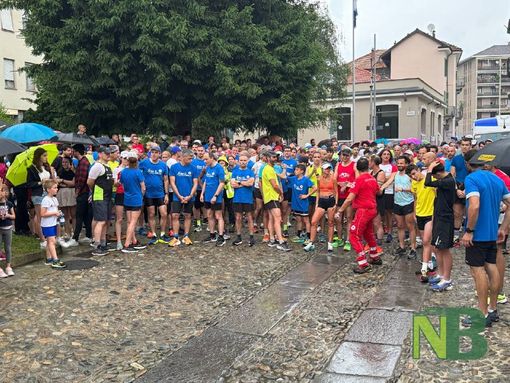Strabiella, in 380 alla partenza, sul podio Biolcati, Di Vincenzo e Biella Running, FOTO e VIDEO Davide Finatti per newsbiella.it Strabiella, in 380 alla partenza, sul podio Biolcati, Di Vincenzo e Biella Running, FOTO e VIDEO Davide Finatti per newsbiella.it