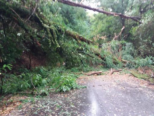 Foto di repertorio Foto di repertorio